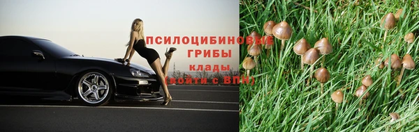 марки lsd Абаза