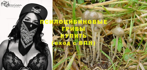 apvp Абинск