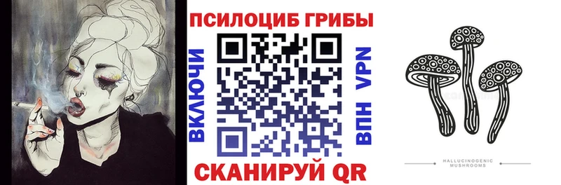 купить наркоту  Липецк  Галлюциногенные грибы мицелий 