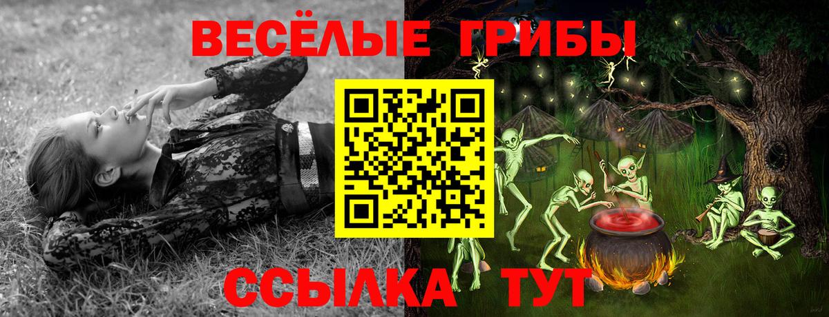 Галлюциногенные грибы мухоморы Липецк