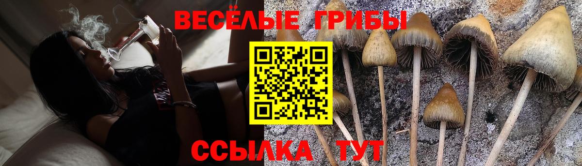 Псилоцибиновые грибы мицелий  Вход с VPN  Галлюциногенные грибы GOLDEN TEACHER  Липецк 